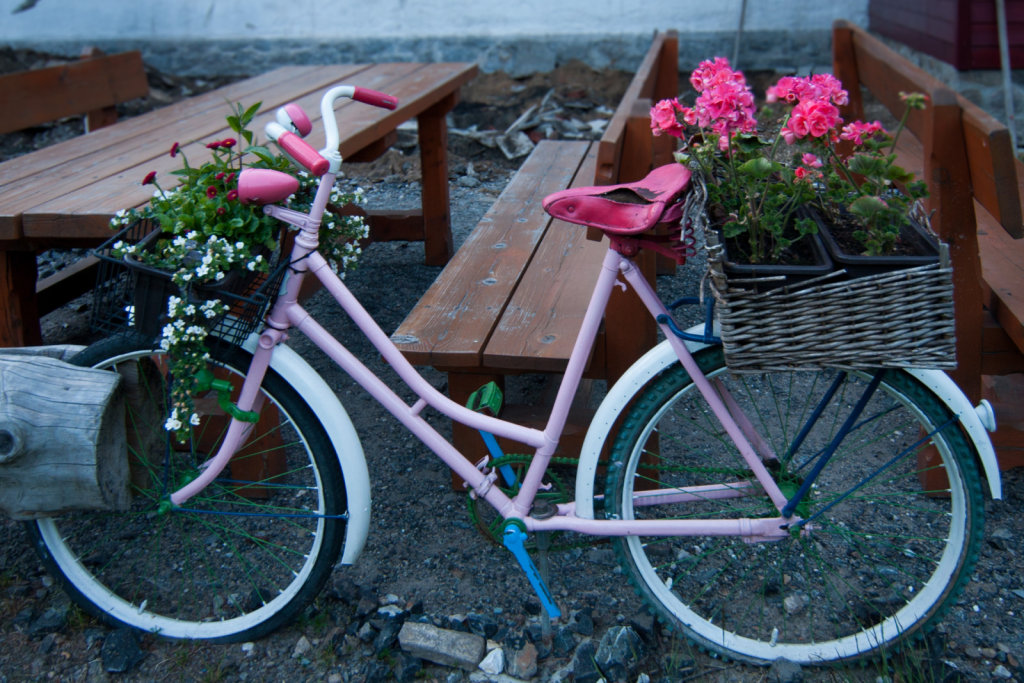 Bicykl